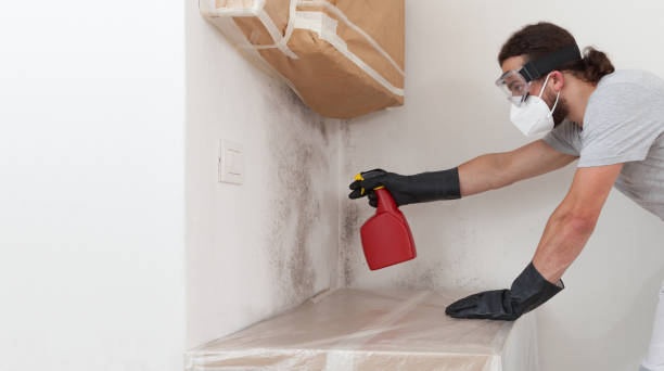 Professional Crawl Space Mold Remediation technician working in Graham, NC