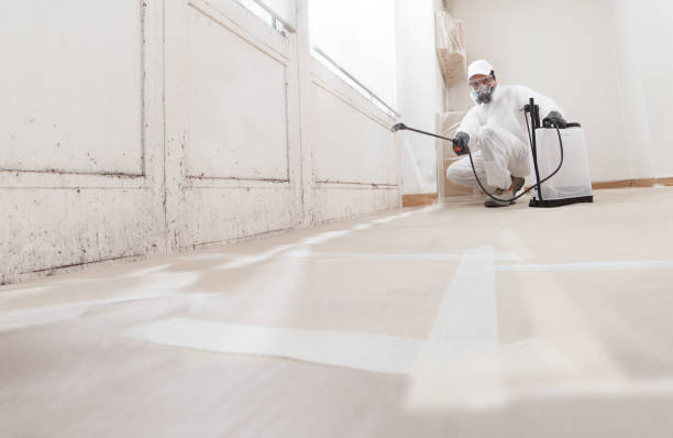 24/7 Emergency Crawl Space Mold Remediation experts in Graham, NC