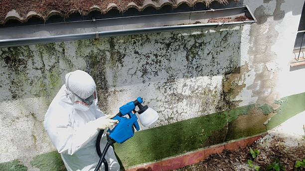 Top rated local Crawl Space Mold Remediation specialists in Graham, NC